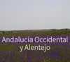 Andalucía Occidental y Alentejo: dos transiciones políticas a escala local